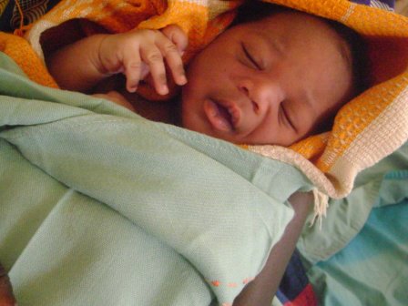 Impact Report 2008/2009