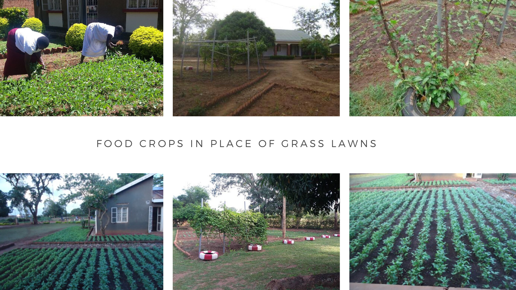 Stimulate development, dissemination and widespread application of technologies suitable for Uganda is the mission of CPAR Uganda.