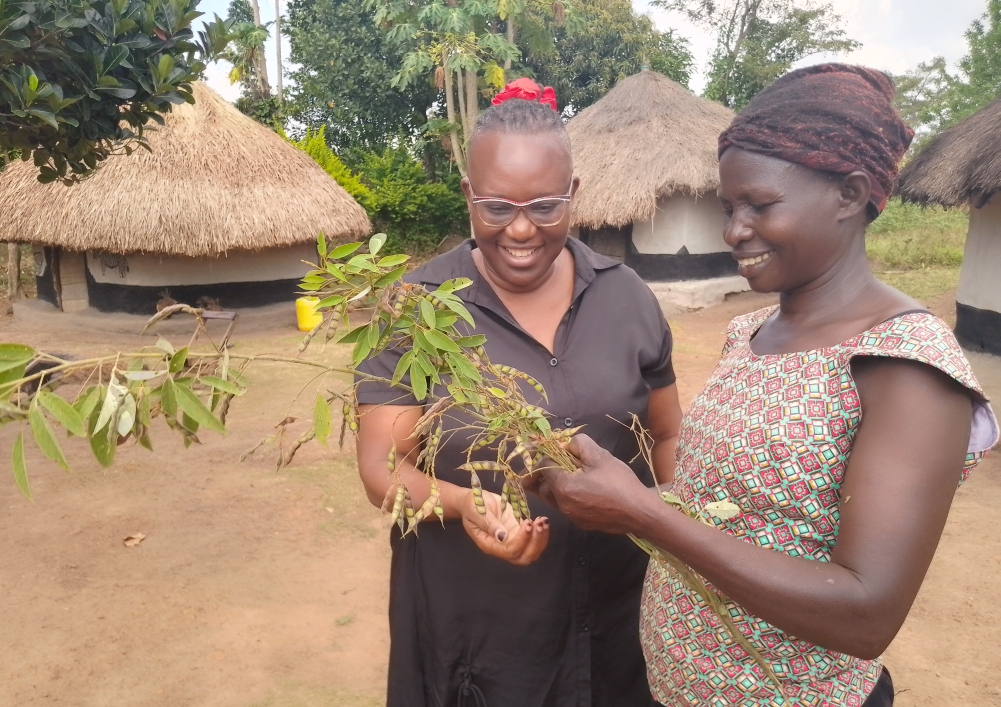 Stimulating the development, dissemination and widespread application of technologies suitable for Uganda is the mission of CPAR Uganda.