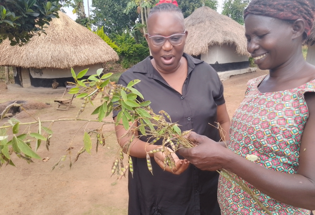 Stimulating the development, dissemination and widespread application of technologies suitable for Uganda is the mission of CPAR Uganda.