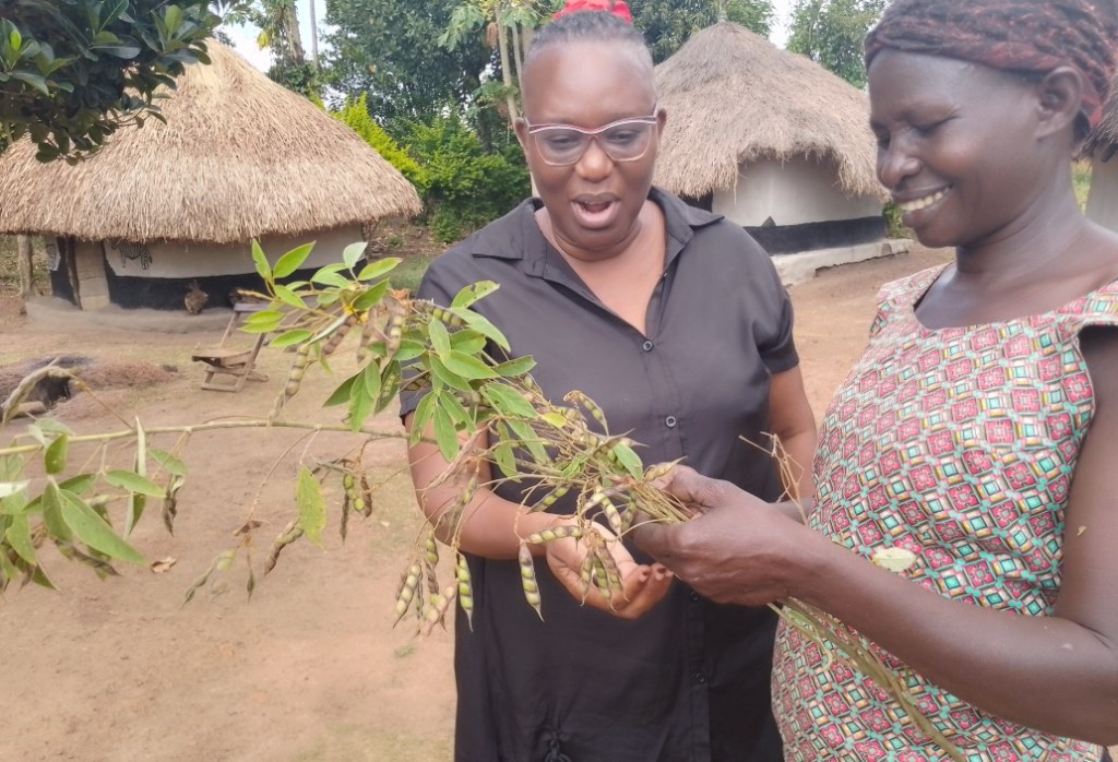 Stimulating the development, dissemination and widespread application of technologies suitable for Uganda is the mission of CPAR Uganda.