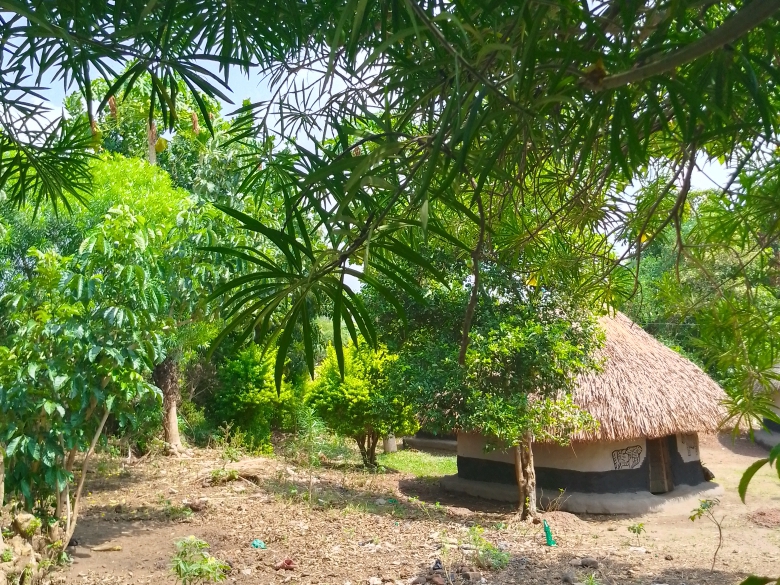 Stimulating the development, dissemination and widespread application of technologies suitable for Uganda is the mission of CPAR Uganda.