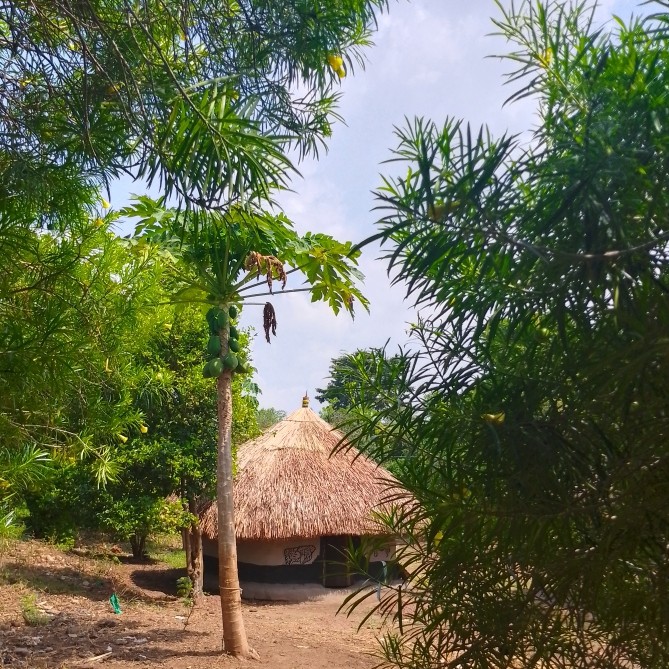 Stimulating the development, dissemination and widespread application of technologies suitable for Uganda is the mission of CPAR Uganda.