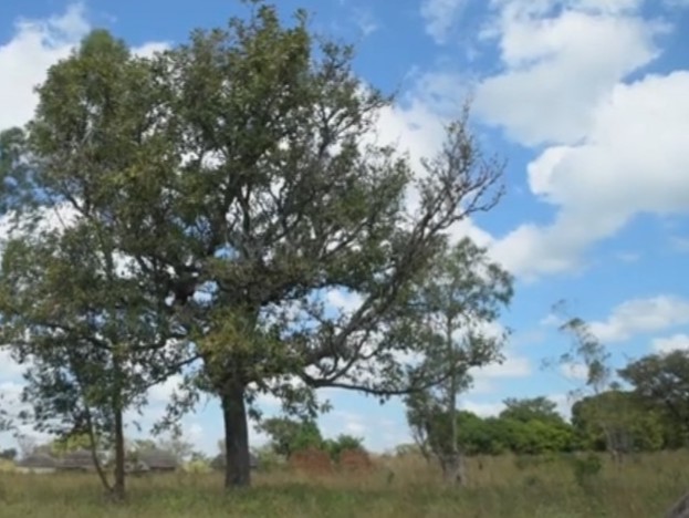 Stimulate development, dissemination and widespread application of technologies suitable for Uganda is the mission of CPAR Uganda.